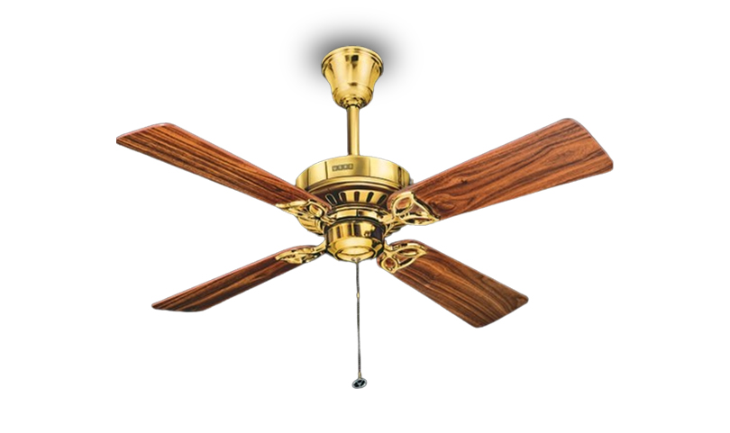 Usha Fan